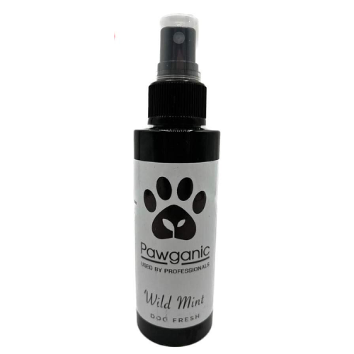Wild Mint 20% off